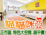 花蓮民宿 貓貓咪亞
